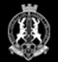 rsua logo